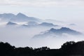 Mountains with trees and fog in monochrome color