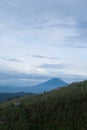 mountains and trees in the morning Royalty Free Stock Photo