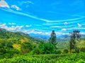 Mountains,  trees   sky, tea state& x27;s Royalty Free Stock Photo