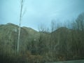 Mountains with trees on the way to Andorra.