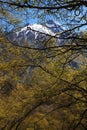 Mountains trough trees. Stepantsminda. Georgia. Royalty Free Stock Photo