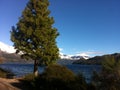 Mountains trought the plants at Bariloche, Argentina II