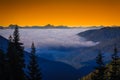 Mountains And Valley Sunrise Over The Clouds Through The Trees At Cayuse Pass, Mt. Rainier National Park, Washington