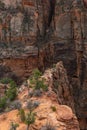 Mountains and valley view in zion national park, utah, usa Royalty Free Stock Photo