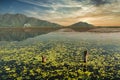 Mountains and vegetation of the dal lake Royalty Free Stock Photo