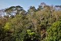 Mountains and vegetation seen from the interior of Mogi das Cruzes