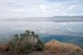 Mountains and walker lake in nevada Royalty Free Stock Photo