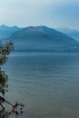 mountains and water of puget sound with dark dragonfly and leaves against it Royalty Free Stock Photo