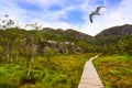 Mountains on the way to the Preachers Pulpit Rock in fjord Lysefjord - Norway Royalty Free Stock Photo