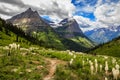 Mountains and Wildflowers of Glacier National Park on the Going-to-the-Sun Road Royalty Free Stock Photo