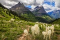 Mountains and Wildflowers of Glacier National Park on the Going-to-the-Sun Road Royalty Free Stock Photo