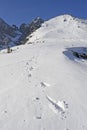 Mountains in winter