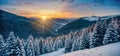 mountains winter landscape, snowy pine trees at sunset , vista with cloudy sky