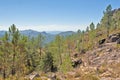 Rocky Mountain landscape with pine trees in the portuguese countryside Royalty Free Stock Photo