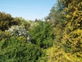 Mountainside with dense vegetation