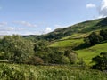 Mountainside fields near Glenridding, Lake District Royalty Free Stock Photo