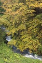 Mountainstream with autumn leaves Royalty Free Stock Photo
