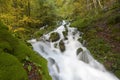 Mountainstream with autumn leaves Royalty Free Stock Photo