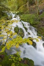 Mountainstream with autumn leaves Royalty Free Stock Photo
