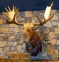 mounted moose, Alces, head with snowshoe and welcome sign on stone farm wall