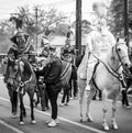 Mounted Krewe Members in the Orpheus Parade Royalty Free Stock Photo