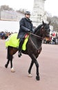 Mounted police Royalty Free Stock Photo