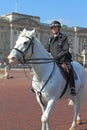 Buckingham Palace Police Woman