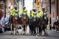 Mounted Police Officers in Toronto, Ontario Royalty Free Stock Photo