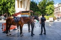 Mounted police. Seville, SPAIN - September 10, 2015