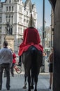 Mounted Soldier guarding Whitehall, London