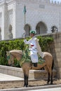 A mounted soldier at Hassan Tower in Rabat, Morocco.