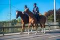 A mounted trooper of the Household Cavalry