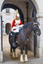 A mounted trooper, London, UK