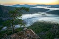 Lonely beautiful pine on mountain top, Scenic landscape with Mist at summer morning, Russia, Ural. Royalty Free Stock Photo