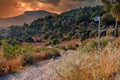 Mountian forest view from rural road travel track on summer evening Royalty Free Stock Photo