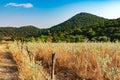 Mountian view from rural road Royalty Free Stock Photo