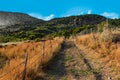 Mountian view from rural road travel track summer evening sunlight Royalty Free Stock Photo