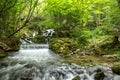 Mountine river Grza in the forest Royalty Free Stock Photo