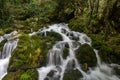 Mountine river Grza in the forest Royalty Free Stock Photo