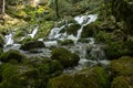 Mountine river Grza in the forest Royalty Free Stock Photo