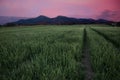 Mourne Mountains At Sunset 