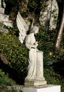 Mourning Angel