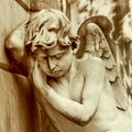 Mourning angel