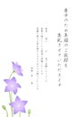 Mourning postcard, balloon flower (Platycodon grandiflorus