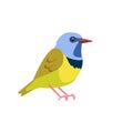 Mourning warbler is a small songbird of the New World warbler family. Yellow Bird Cartoon flat style beautiful character