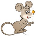 Mouse