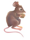 Mouse Royalty Free Stock Photo