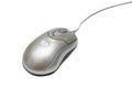 Mouse Royalty Free Stock Photo