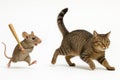 A mouse with a baseball bat is chasing a cat. Royalty Free Stock Photo