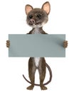 Mouse with a blank board on white Royalty Free Stock Photo